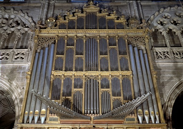 ORGANO DEL S XVIII
BURGOS, CATEDRAL-INTERIOR
BURGOS
This image is not downloadable. Contact us for the high res.