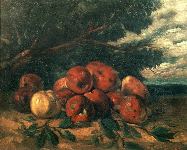 Courbet, Nature morte avec pommes