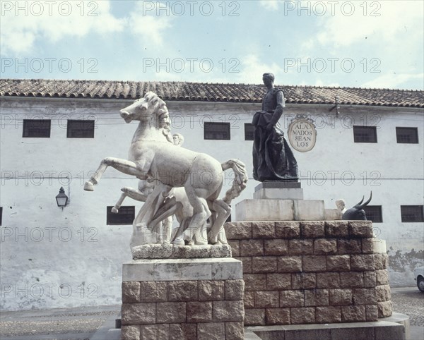 PLAZA DE STA MARINA-MONUMENTO A MANOLETE
CORDOBA, EXTERIOR
CORDOBA

This image is not downloadable. Contact us for the high res.