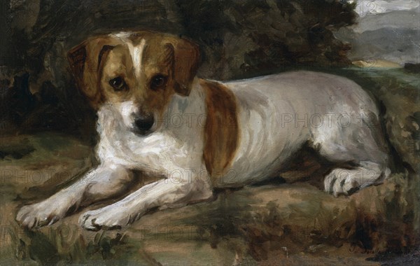 Sorolla, Un chien