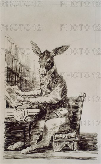 Goya, Whim - The donkey writer