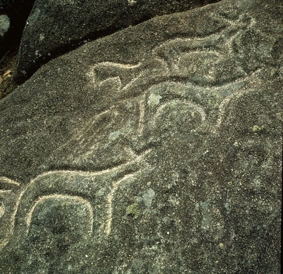 INSCULTURAS DE AS FRAGAS- ARTE RUPESTRE
CAMPO LAMEIRO, EXTERIOR
PONTEVEDRA