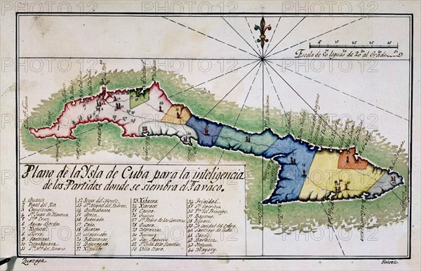 PLANO DE LA ISLA DE CUBA CON SIEMBRAS DE TABACO-S XIX