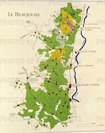 ASENSIO VILLA E
LIBRO DEL VINO VINOS DE LA REGION DE BEAUJOLAIS