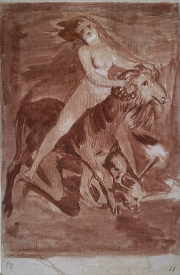 Goya, Vol de sorcières