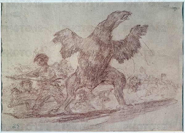 Goya, Le vautour carnivore