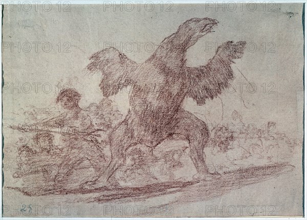 Goya, Carnivorous vulture