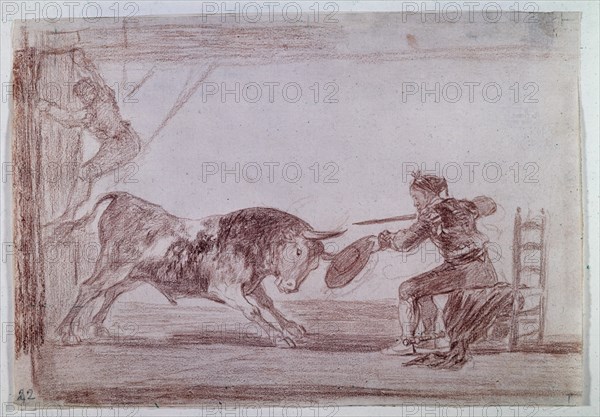 Goya, Tauromachy 18