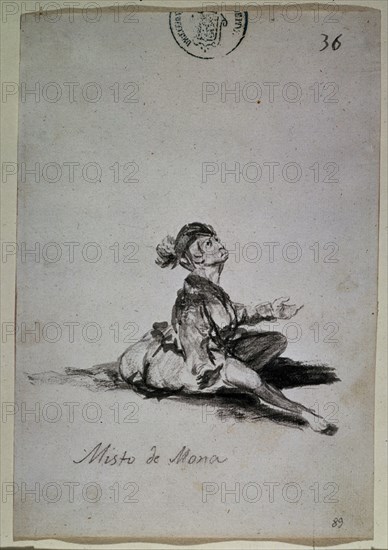 Goya, drawing (Small female monkey)