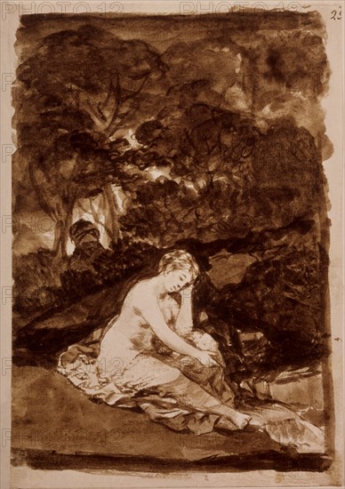 Goya, Naked woman sitting