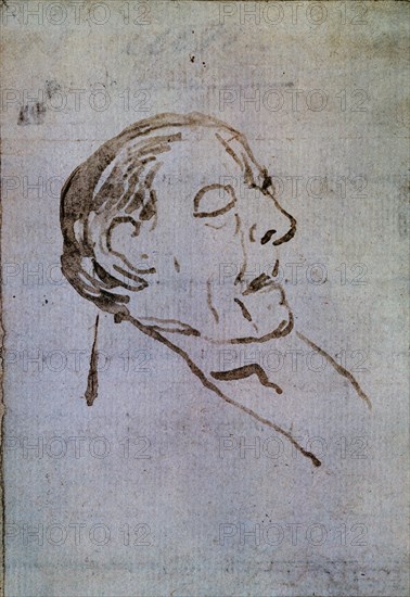 Goya, Old man's face asleep