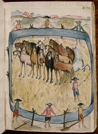 MARTINEZ COMPAÑON 1737/97
TRUJILLO DEL PERU II E 72-MODO DE TRILLAR EL TRIGO CON CABALLOS-AGRICULTURA
MADRID, PALACIO REAL-BIBLIOTECA
MADRID

This image is not downloadable. Contact us for the high res.