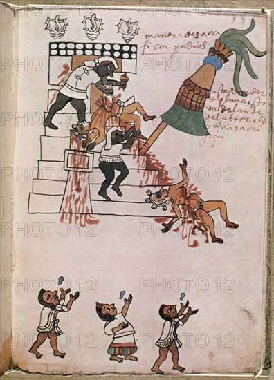 Codex Tudela