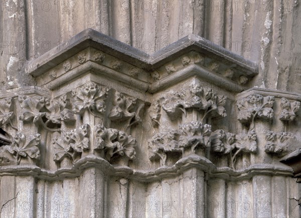 CLAUSTRO DETALLE DE CAPITEL EN ANGULO ADORNADO CON FLORE
TOLEDO, CATEDRAL
TOLEDO

This image is not downloadable. Contact us for the high res.