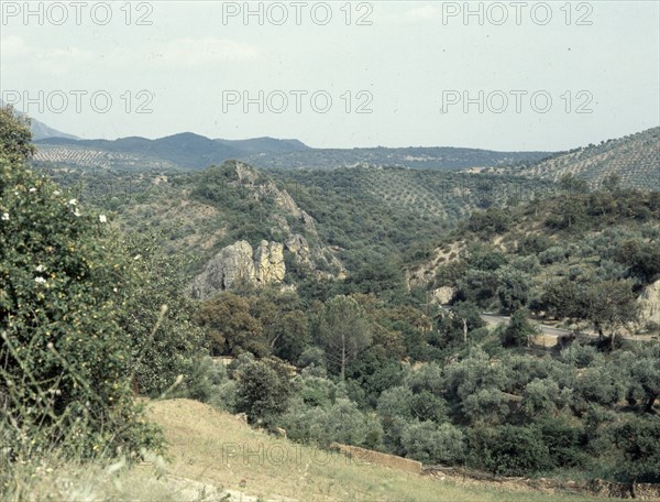 Vue sur la Sierra Morena