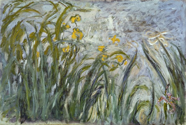 Monet, Yellow irises