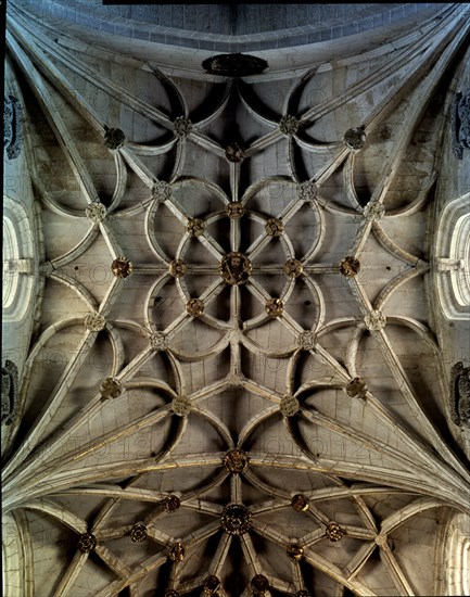 BOVEDAS
CIUDAD RODRIGO, CATEDRAL
SALAMANCA
This image is not downloadable. Contact us for the high res.