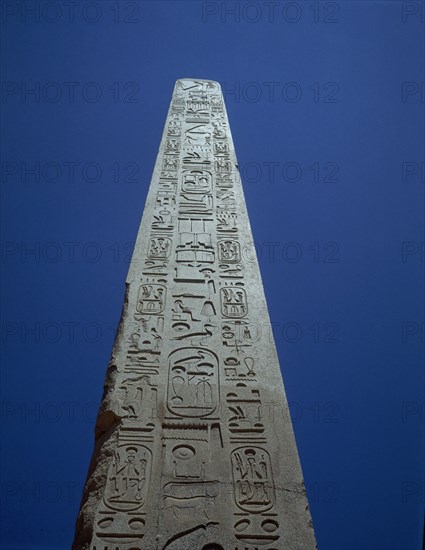 TEMPLO AMON RA - OBELISCO DE TUMOSIS I
TEBAS, KARNAC
EGIPTO
This image is not downloadable. Contact us for the high res.