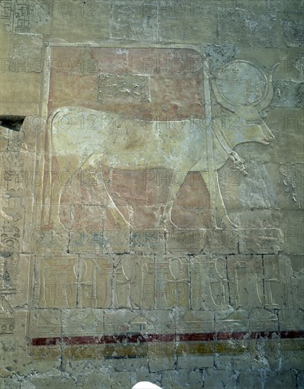 TEMPLO RAMSES IV - RELIEVE DE AMON-RA
TEBAS, VALLE DE LOS REYES
EGIPTO