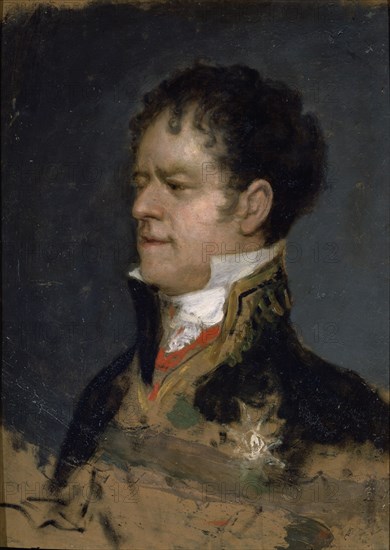 Goya, Duc de San Carlos
