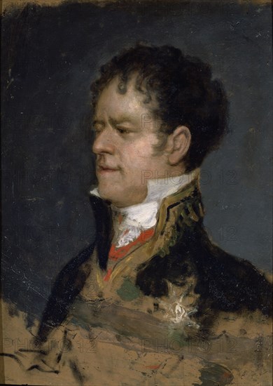 Goya, Duke of San Carlos