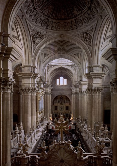VANDELVIRA ANDRES 1509/75
CATEDRAL DE JAEN-NAVE CENTRAL DESDE LA TRIBUNA-1540/79- ARQUITECTURA RENACENTISTA
JAEN, CATEDRAL
JAEN
This image is not downloadable. Contact us for the high res.