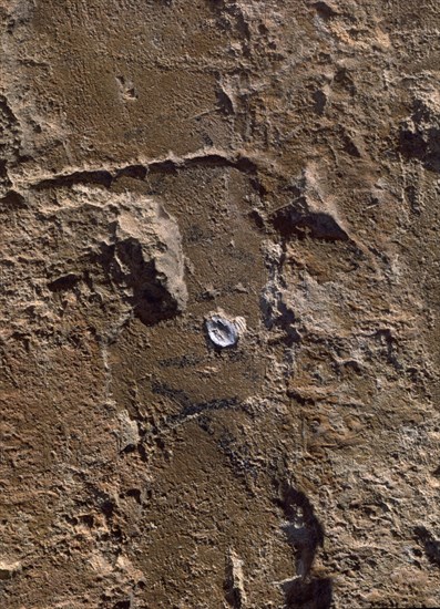 FIRMA DE COLON SOBRE PIEDRA
RABIDA LA, MONASTERIO
HUELVA