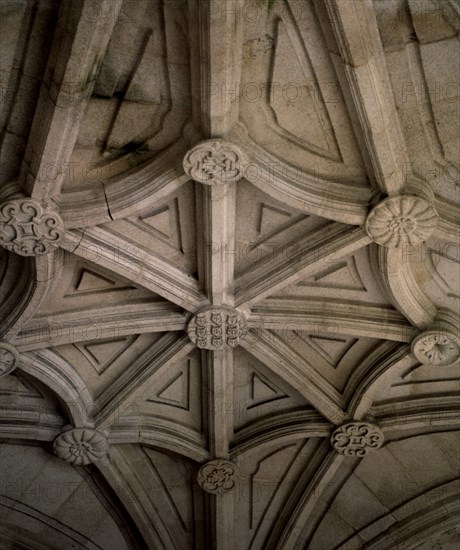 CUPULA NERVADA
RIBAS SIL, MONASTERIO DE SAN ESTEBAN
ORENSE
This image is not downloadable. Contact us for the high res.
