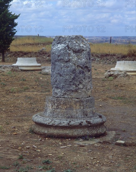BASES DE COLUMNAS
CLUNIA, RUINAS ROMANAS
BURGOS
This image is not downloadable. Contact us for the high res.
