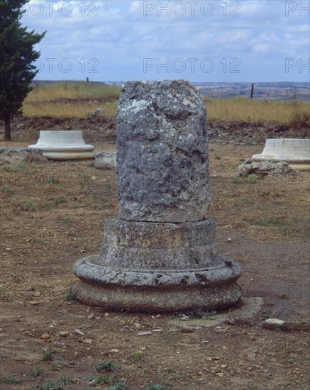 BASES DE COLUMNAS
CLUNIA, RUINAS ROMANAS
BURGOS

This image is not downloadable. Contact us for the high res.