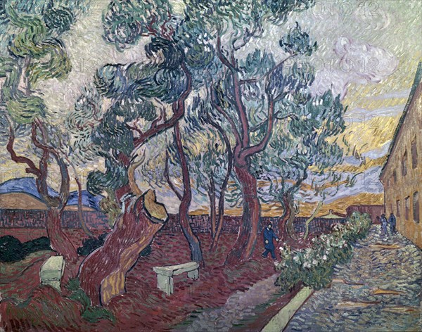Van Gogh, Garden of St. Paul Hospital