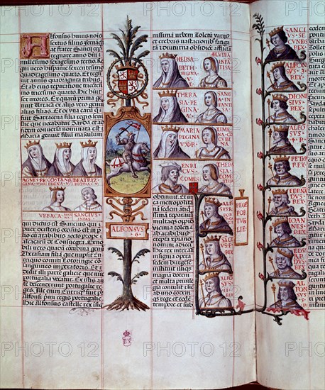 CARTAGENA ALFONSO DE 1385-1456
GENEALOGIA DE LOS REYES DE ESPAÑA - (PAGINA DE LOS REYES PORTUGUESES)-VIT 19-2-F29V-30
MADRID, BIBLIOTECA NACIONAL
MADRID
This image is not downloadable. Contact us for the high res.