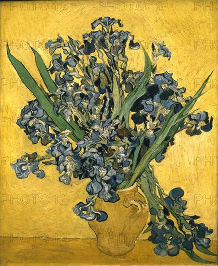 Van Gogh, Vase with Irises Against a Yellow Background