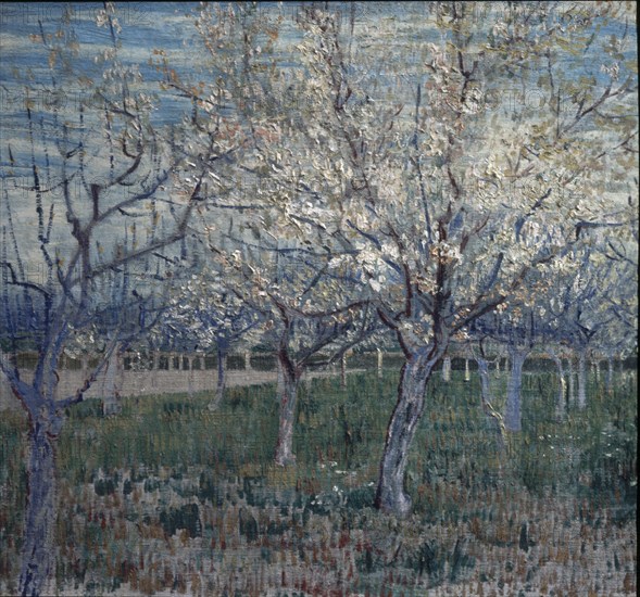 Van Gogh, The pink orchard