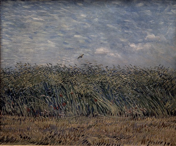 Van Gogh, Wheat Field with a Lark