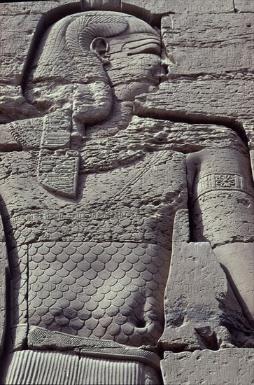 RELIEVES DE UN MURO
ASUAN, TEMPLO DE FILE
EGIPTO