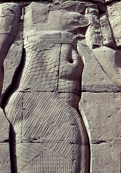 RELIEVES EN UN MURO
ASUAN, TEMPLO DE FILE
EGIPTO