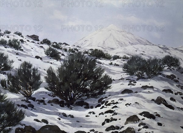 BONNIN GUERIN F
NIEVE EN LA CANADA DEL TEIDE
SANTA CRUZ, MUSEO MUNICIPAL
TENERIFE

This image is not downloadable. Contact us for the high res.