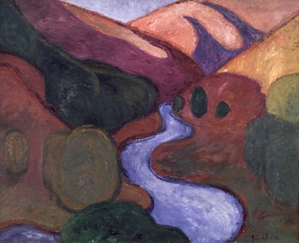 PICABIA FRANCIS 1879-1953
VALLE CON RIO