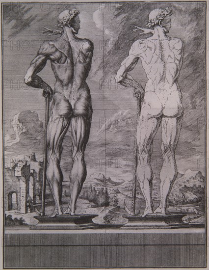 MARTINEZ CRISOSTOMO
ATLAS ANATOMICO - PAGINA CON ILUSTRACION
MADRID, BIBLIOTECA NACIONAL
MADRID