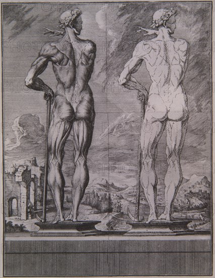 MARTINEZ CRISOSTOMO
ATLAS ANATOMICO - PAGINA CON ILUSTRACION
MADRID, BIBLIOTECA NACIONAL
MADRID