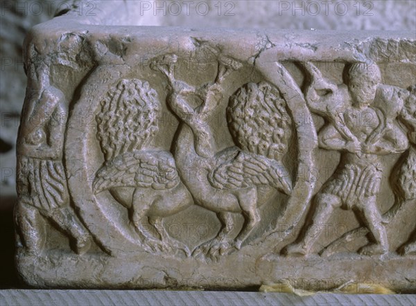 PILA ARABE DEL SIGLO XI - DETALLE PAVOS REALES - RELIEVE
JATIVA, MUSEO MUNICIPAL
VALENCIA