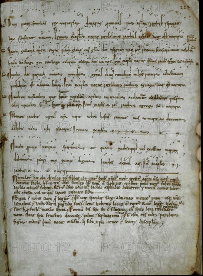 CODICE CALIXTINO- S XII-FOL 185-R CANIONA 3 VOCES MAS ANTIGUA
SANTIAGO DE COMPOSTELA, BIBLIOTECA CATEDRAL
CORUÑA
This image is not downloadable. Contact us for the high res.