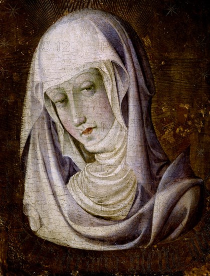 CILLERO ANDRES JOSE
CABEZA DE VIRGEN
VALENCIA, MUSEO BELLAS ARTES - COLEGIO PIO V
VALENCIA