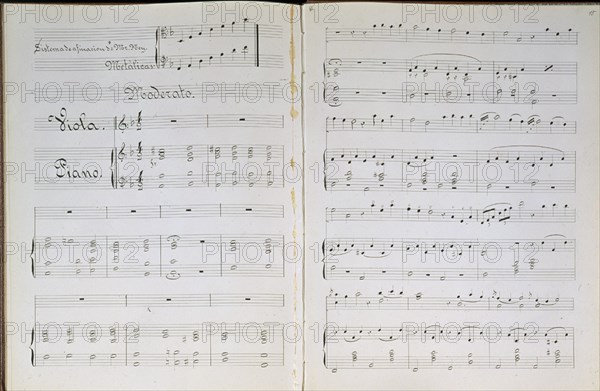 LESTANT T
METODO ELEMENTAL DE VIOLA - PARTITURA
MADRID, CONSERVATORIO
MADRID
This image is not downloadable. Contact us for the high res.