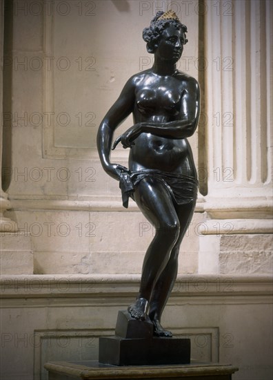 JONGHELINCK 1530/1606
VENUS
MADRID, PALACIO REAL-ESCULTURA
MADRID
This image is not downloadable. Contact us for the high res.