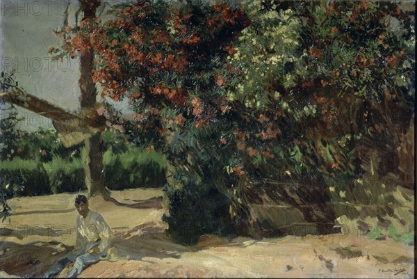 Sorolla, La Laurier rose