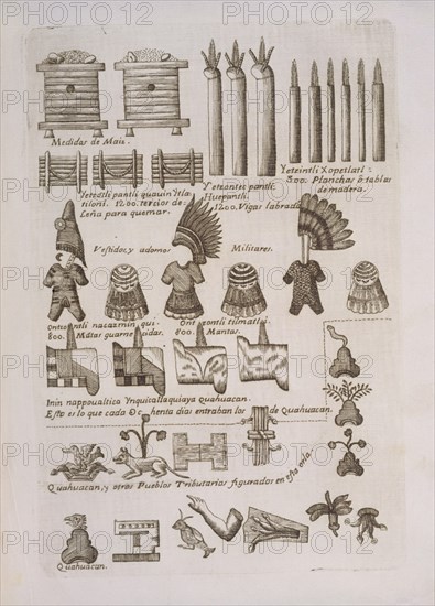 CORTES HERNAN 1485/1547
H DE LA NUEVA ESPANA-TRIBUTOS A MOZTEZUMA-12
MADRID, BIBLIOTECA NACIONAL RAROS
MADRID