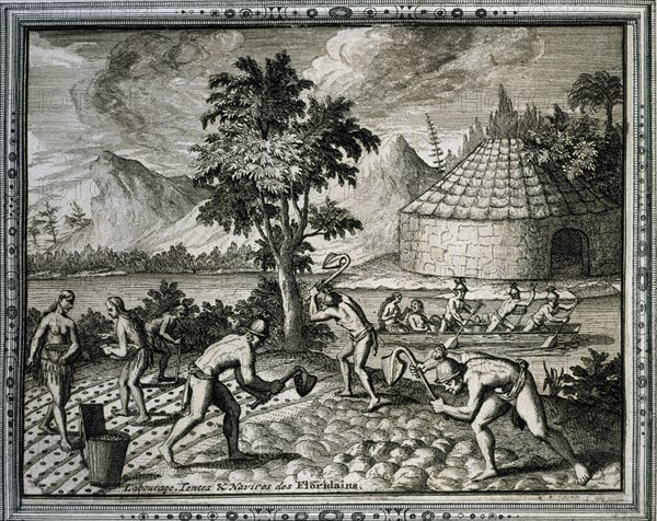 BRY THEODORE 1528-1598
GRANDES VIAJES.1590. INDIOS DEL PERU-USOS Y COSTUMBRES-CAMPESINOS SEMBRANDO. GRABADO S XVI
MADRID, BIBLIOTECA NACIONAL B ARTES
MADRID