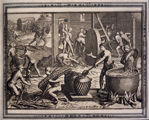 BRY THEODORE 1528-1598
GRANDES VIAJES 1590. INDIOS DEL PERU-USOS Y COSTUMBRES-TRABAJANDO EL AZUCAR 1592
MADRID, BIBLIOTECA NACIONAL B ARTES
MADRID